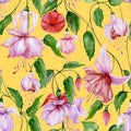 Beautiful fuchsia flowers on climbing twigs on yellow background. Seamless floral pattern. Watercolor painting