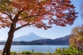 Beautiful fuji Mountain View in Autumn at Lake Kawaguchiko japan Royalty Free Stock Photo