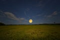 Beautiful full moon over golden rice field in the evening