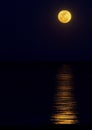 Harvest Moon Rises Above The Ocean Royalty Free Stock Photo