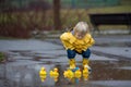 Beautiful funny blonde toddler boy with rubber ducks and colorful umbrella, jumping in puddles and playing in the rain Royalty Free Stock Photo