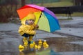 Beautiful funny blonde toddler boy with rubber ducks and colorful umbrella, jumping in puddles and playing in the rain Royalty Free Stock Photo