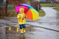 Beautiful funny blonde toddler boy with rubber ducks and colorful umbrella, jumping in puddles and playing in the rain Royalty Free Stock Photo