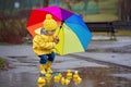 Beautiful funny blonde toddler boy with rubber ducks and colorful umbrella, jumping in puddles and playing in the rain Royalty Free Stock Photo