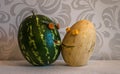 Beautiful and funny watermelon and melon