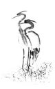 Beautiful gallant stork Heron crane love. Black ink. Japanese painting sumi-e.