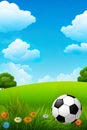 beautiful game with a soccer ball on a grassy field under a clear blue sky. Royalty Free Stock Photo