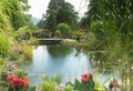 Beautiful garden in the alps of austria ramsau am dachstein Royalty Free Stock Photo