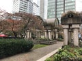 Garden Amidst Downtown Buildings in Vancouver, British Columbia