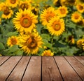 Beautiful garden background with empty wooden deck table. Royalty Free Stock Photo