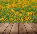 Beautiful garden background with empty wooden deck table. Royalty Free Stock Photo