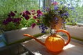 Beautiful garden on the balcony with orange watering can, petunia and lobelia flowers in pots Royalty Free Stock Photo