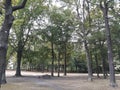 Beautiful garden benches and trees