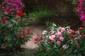 Beautiful garden with blooming rose bushes in summer