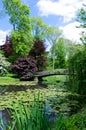 Beautiful garden with bridge