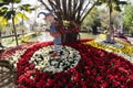 Beautiful Garden decorate at Chiang Mai Flower Festival at Suan Buak Hat in Chiang Mai.