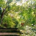 Beautiful garden equiped with Shady trees