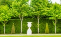 Beautiful Garden in a Famous Palace of Versailles Royalty Free Stock Photo