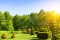 Beautiful garden with flowering trees and shrubs and a lawn Royalty Free Stock Photo