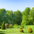 Beautiful garden with flowering trees and shrubs and a lawn Royalty Free Stock Photo