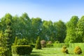 Beautiful garden with flowering trees and shrubs and a lawn Royalty Free Stock Photo