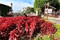 Beautiful garden in front of the city hall of Murcia