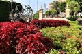 Beautiful garden in front of the city hall of Murcia