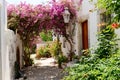 Beautiful garden and hous at Sisi, Crete Royalty Free Stock Photo