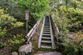 Beautiful garden in Kinkaku-ji Temple