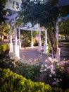 Evening at McHenry Garden in Modesto California