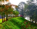 Beautiful garden with lush green trees