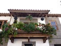 Splendid garden on a balcony