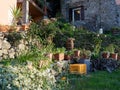 beautiful garden in a medieval village called caprigliola Royalty Free Stock Photo