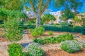 The beautiful garden in Naxxar town, Malta