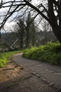 Park next to the Observatory and The Clifton Suspension Bridgeardens in Clifton Park neighborhood in Bristol city