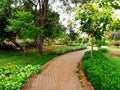 Beautiful garden pathways and walkways tree plants background