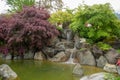 Beautiful garden with pond and small waterfall for background