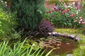 Beautiful garden with a pond with water lilies, with different roses..and ornamental plants on a sunny day Royalty Free Stock Photo