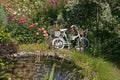 Beautiful garden with a pond with water lilies, with different roses..and ornamental plants and an old bicycle Royalty Free Stock Photo