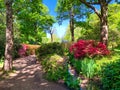 Beautiful garden of Richmond park, Isabella plantation in London
