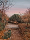 beautiful garden with rosy clouds of dawn Royalty Free Stock Photo