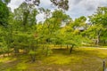 Beautiful garden scenery around the gates of Kinkakuji, Kyoto Japan