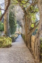 Beautiful garden with a stone sidewalk with trees on the sides, bushes and green leafy plants Royalty Free Stock Photo