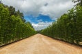 Beautiful garden in Versailles palace, Paris, France Royalty Free Stock Photo