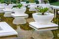 Beautiful Garden with White Stone Flower Pots in a Pool. Small Palm Trees in Large Pots. Luxury Decoration with Flowers