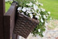 A beautiful garden window box planted with white summer flowers Royalty Free Stock Photo