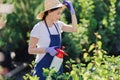 Beautiful gardener woman in straw hat sprinkles plants from a garden sprayer