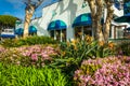 Beautiful gardens and building in downtown Laguna Beach, California. Royalty Free Stock Photo