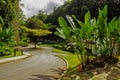 Beautiful Gardens at Harrison`s Cave in Barbados