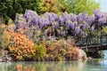 Beautiful gardens overhanging a foot bridge